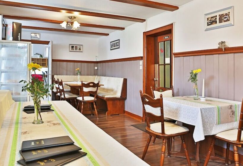 בית מלון כפרי Stahlbad Bad Peterstal