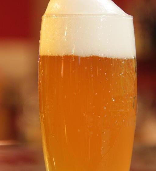 הוסטל Freedom Kite House