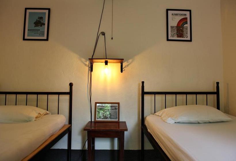 هاستل Hostal La Tortuga Booluda