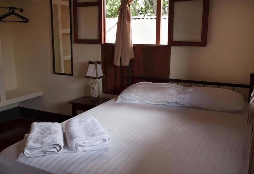 هاستل Hostal La Tortuga Booluda