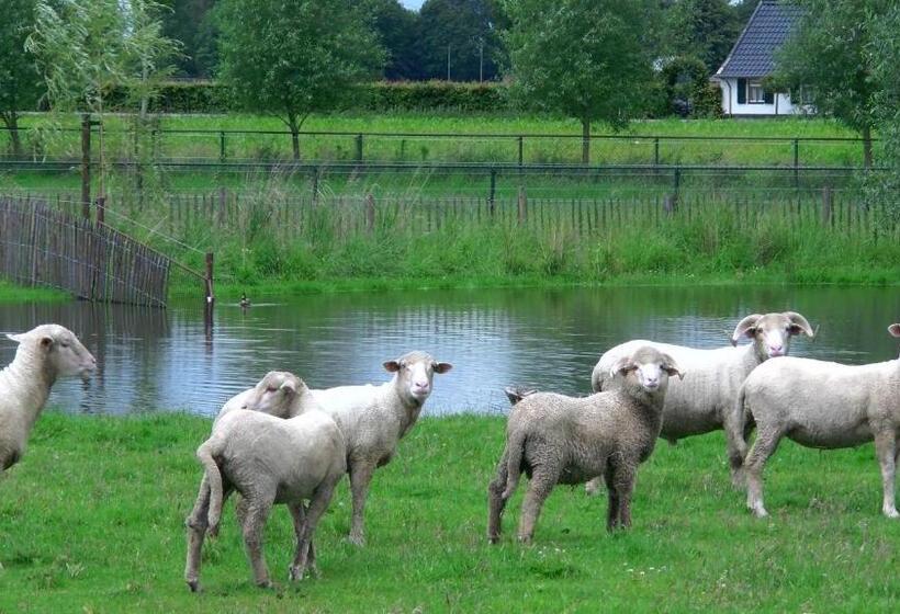 Bed and Breakfast De Turfstaeker