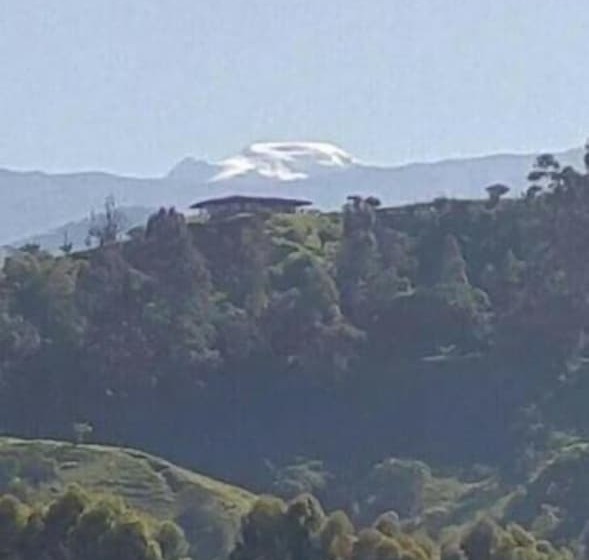 هتل Boutique Palmas de Salento