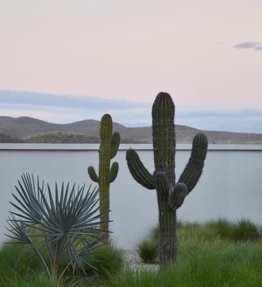 هتل San Cristobal Adults 15+