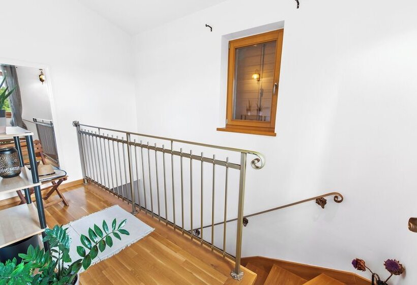 פנסיון Villa Dol