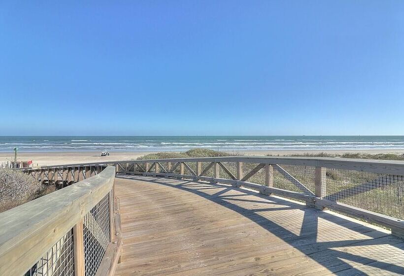 The Great White 306 Dar