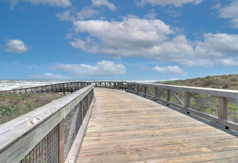 Whale Of A Time 154 Sou