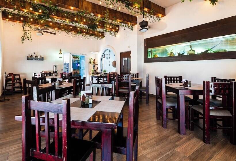 هتل Posada Del Pescador By Oyo