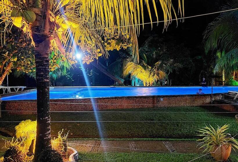 Eco Glamping Treehouses Closest Resort To All Tourist Attractions