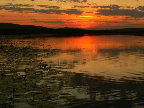Parry Creek Farm Tourist Resort And Caravan Park