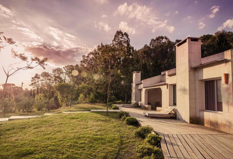 مبيت وإفطار Suites Camacho
