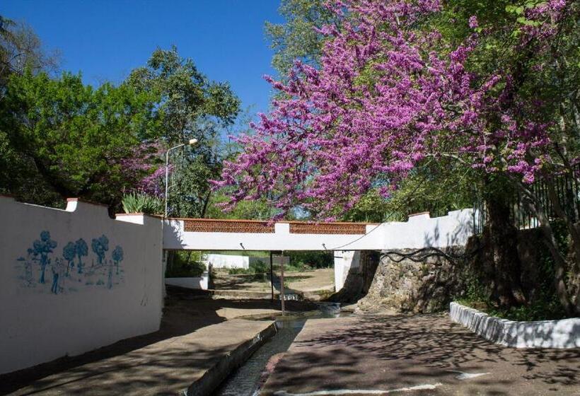 住宿加早餐  Termas Da Sulfurea