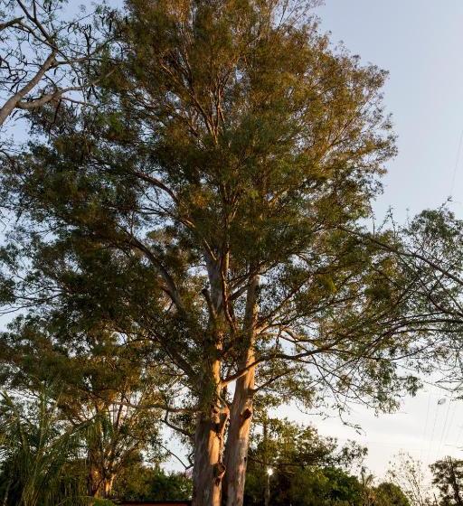 ホテル Fazenda Santa Monica