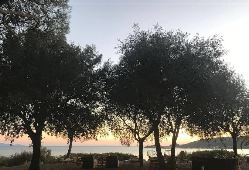 مبيت وإفطار Villa Talamo