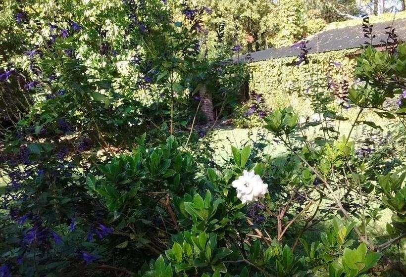 La Ignacia Bed And Breakfast