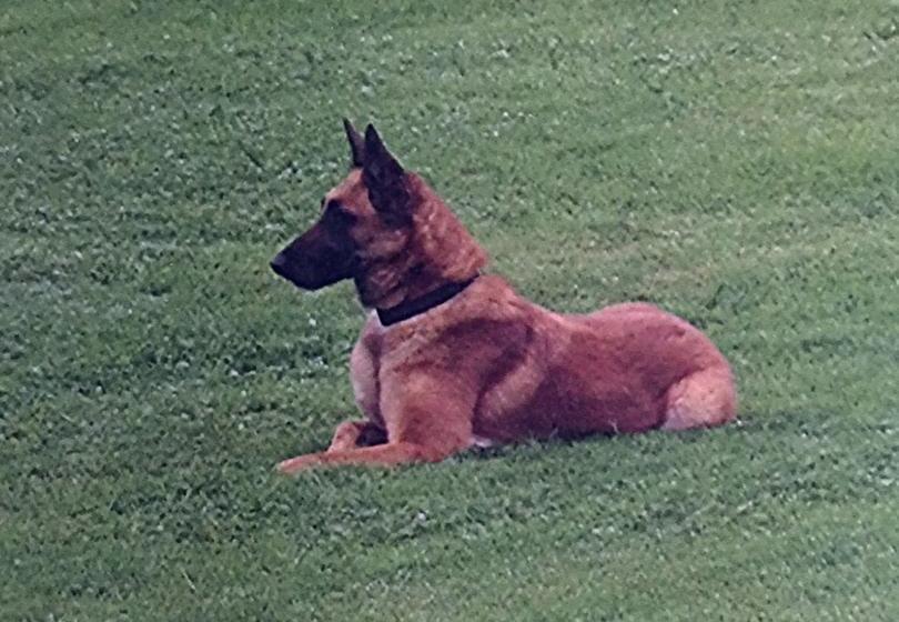 Privatzimmer / Bed & Breakfast