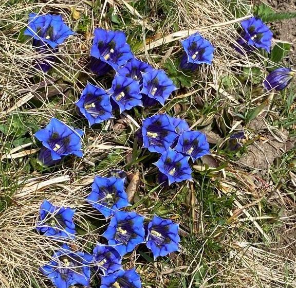 Privatzimmer / Bed & Breakfast