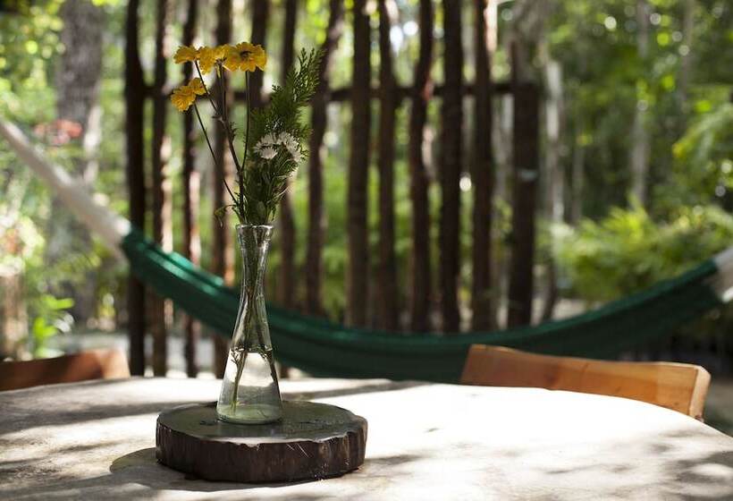 تختخواب و صبحانه Chaktunche Rancho Ecolodge