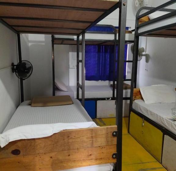 Hostelavie   Varanasi
