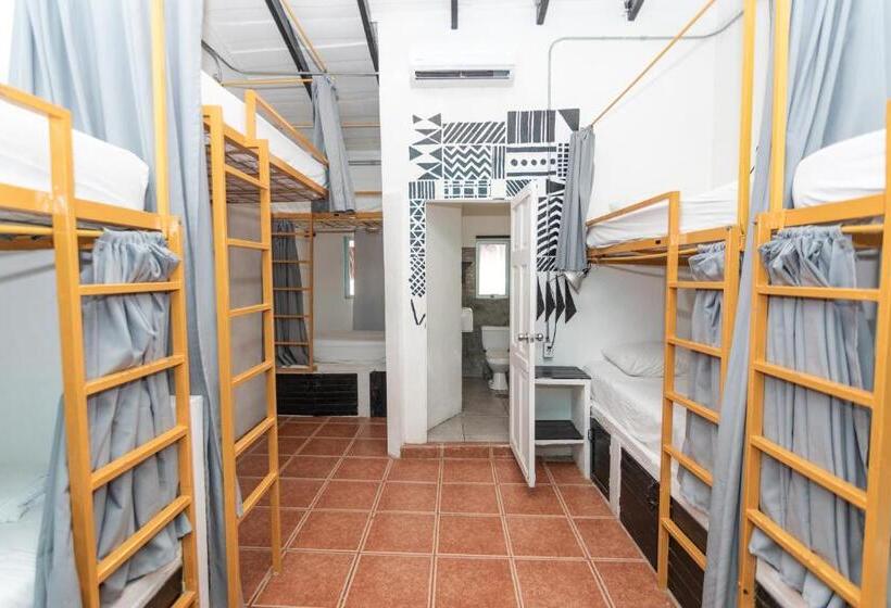 ホテル Selina Santa Teresa North   Hostel