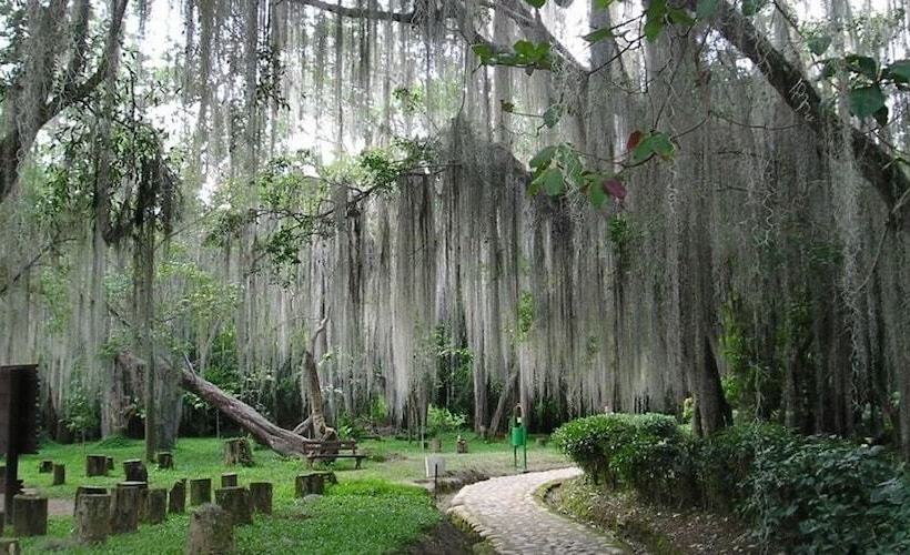 هتل Victoria Barichara