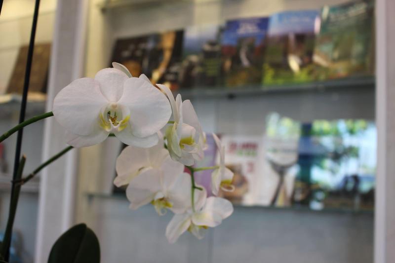 هتل Altavilla Catanzaro