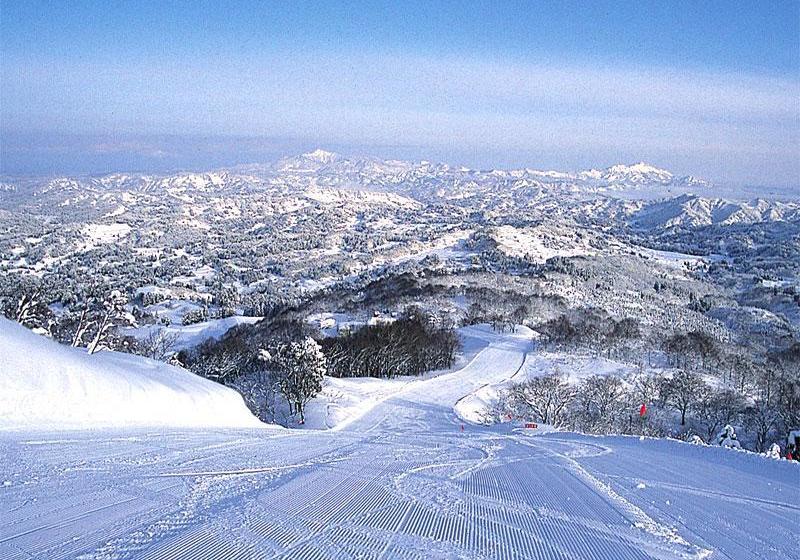 فندق Cupid Village