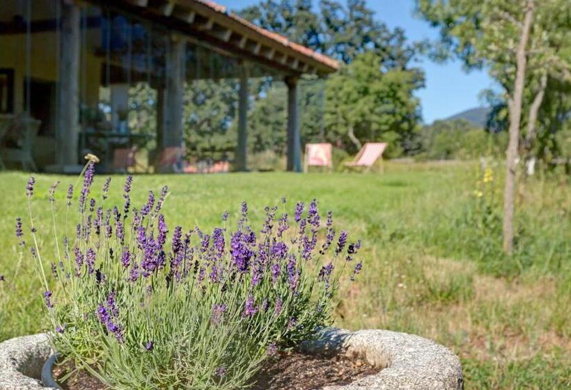 ホテル Finca Fuente Techada   Adults Only