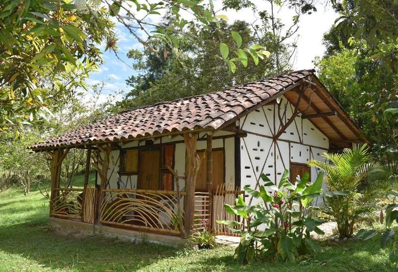 هتل La Casa De Francois