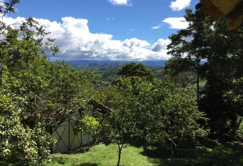 هتل La Casa De Francois