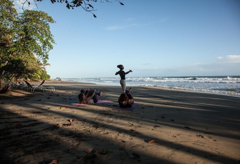 فندق Lapalapa Beachfront
