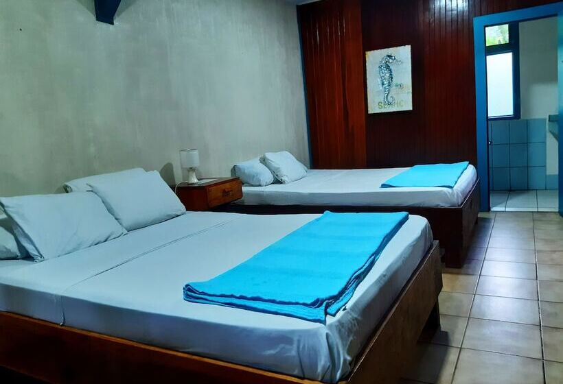 فندق Lapalapa Beachfront