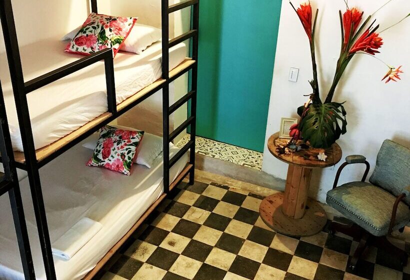 هاستل Casa La Bella Samaria Boutique