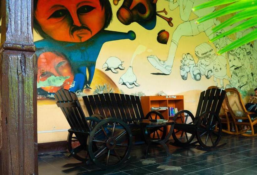 هاستل Hostal Lazybones
