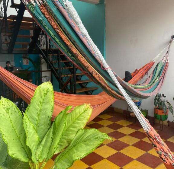 Havana Hostel Cali & Dance School