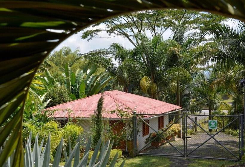 هتل Cabañas Las Bifloras