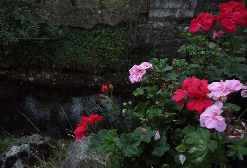 호텔 Albergo Il Giardino Del Rio