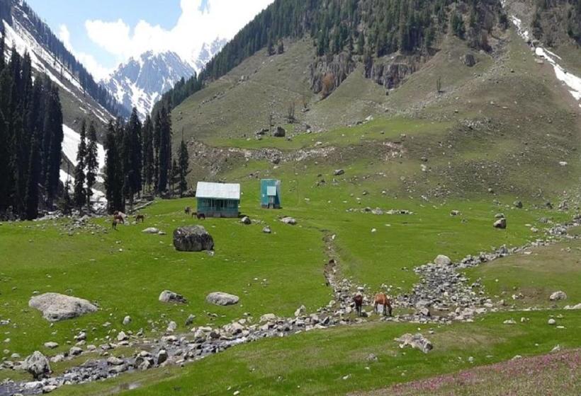 리조트 Brown Palace