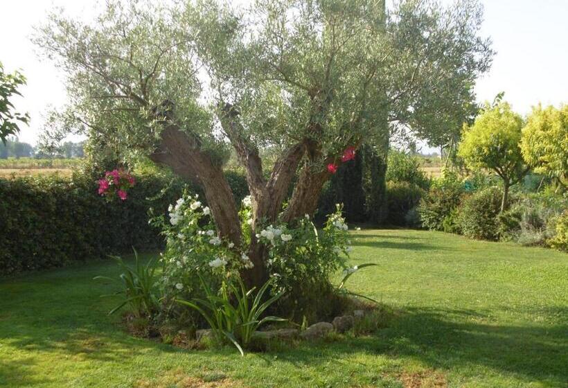 B&b La Gioiosa