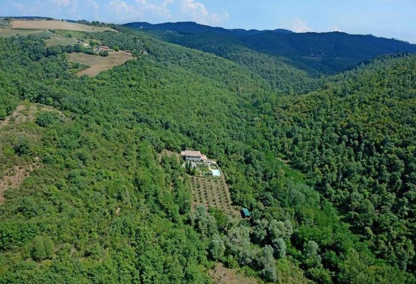 B&b Podere Il Colto
