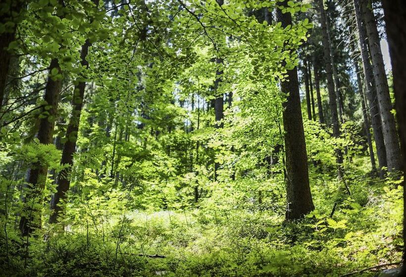 Amenity Hotel & Resort špindlerův Mlýn