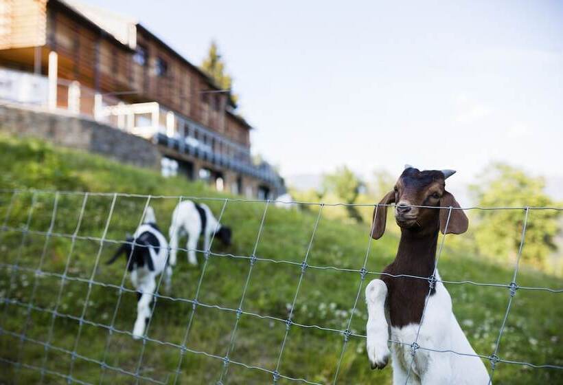 Amenity Hotel & Resort špindlerův Mlýn