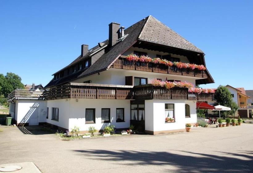 هتل Schöpperle