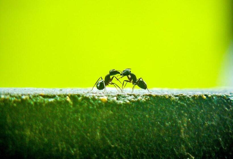 호텔 Srinivasa Residency