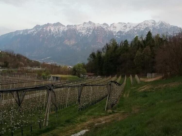 B&b Le Fontane Fam. Degan