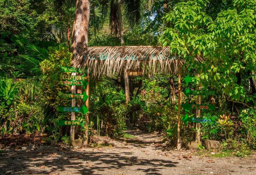 La Palapa Hut Nature Hostel