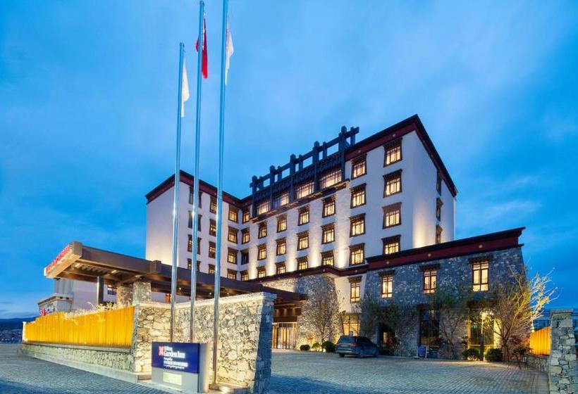 هتل Hilton Garden Inn Shangrila