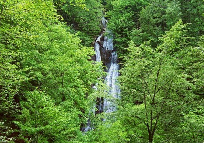 فندق Kackar Resort