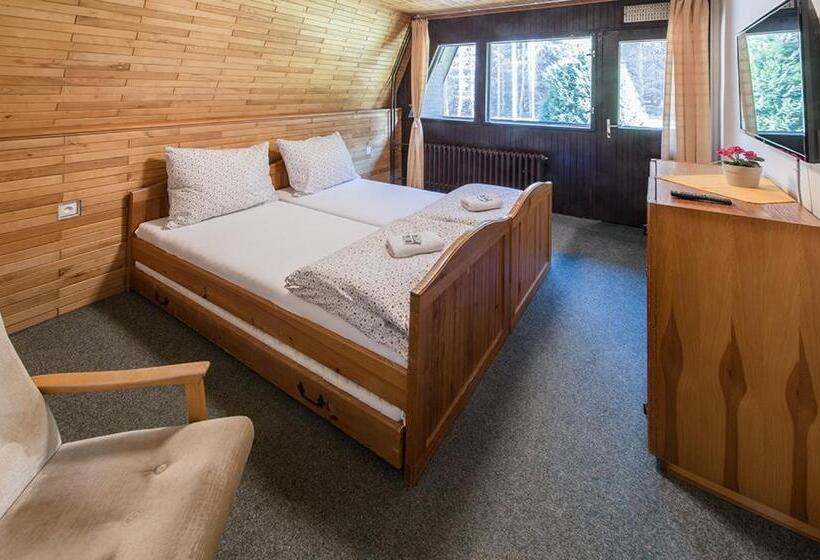 酒店 Pod šaumburkem