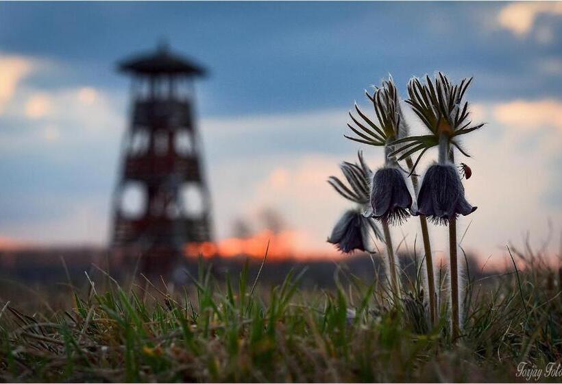 Sztár Motel étterem