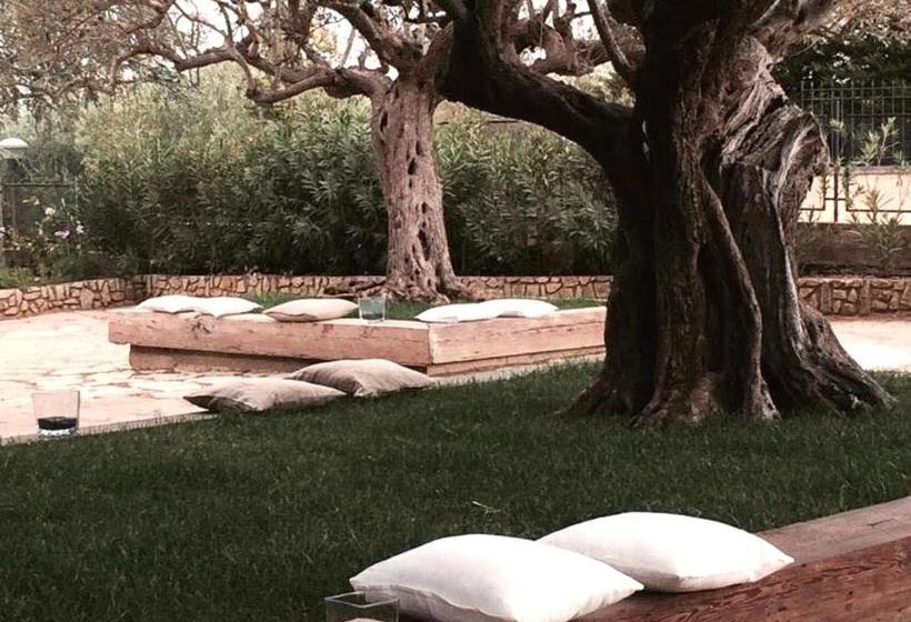 B&b La Collegiata